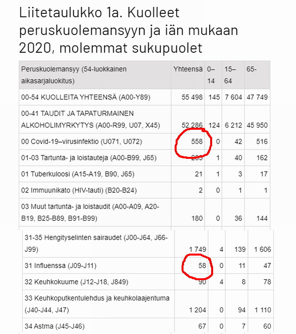 Suomi_2020_stat.jpg