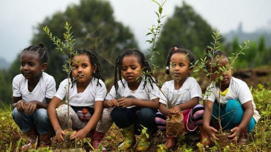 Etiopian lapsille on opetettu ympäristöasioita ja he ovat istuttaneet puita.jpg