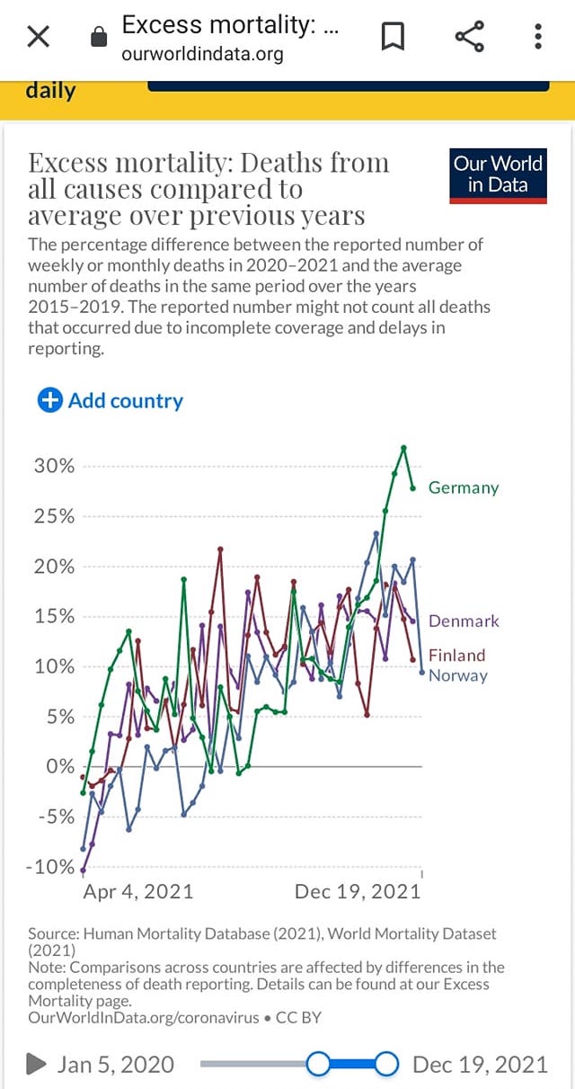 excess-mortality.jpeg