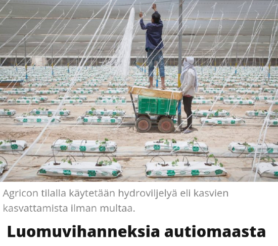 Qatarissa on panostettu hydroviljelyyn.jpg