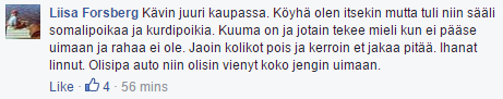 Rasmusliisat ihanoine lintuineen.png