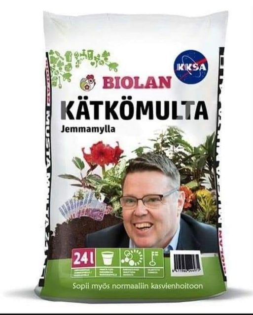 Aarnio.jpg