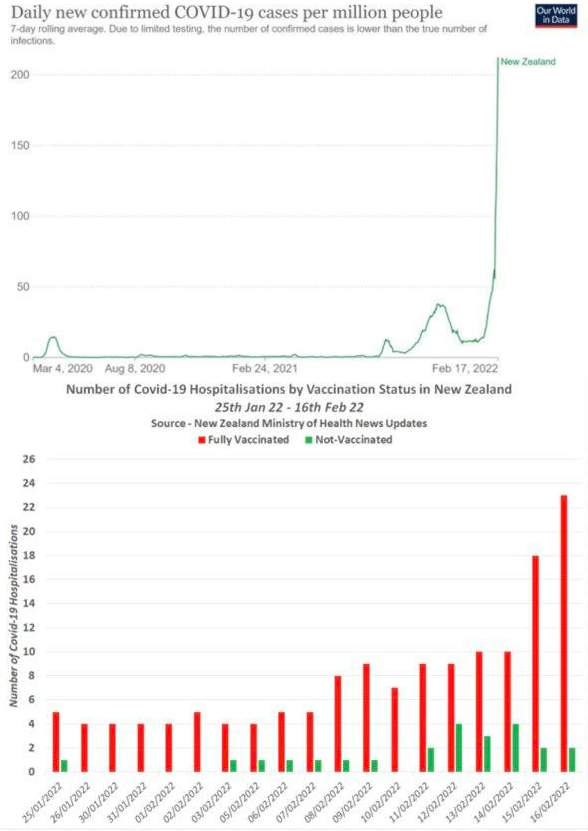 NZ sairaalat luokilla jo nyt, vaikka tapaukset tekivät vasta päiviä sitten exponentiaalisen kasvun.jpg