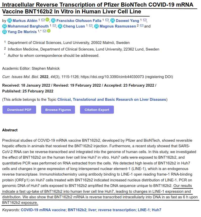 Pfizer-mRNA ja kyky muuttaa solujen DNA, in vitro-tutkimus, Lund.jpg