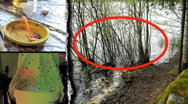 Ohikulkija löysi vauvan elottomana rantavedestä oikeanpuoleisen kuvan osoittamasta paikasta. Äiti oli syöttänyt lapselle rauhoittavia lääkkeitä soseeseen sekoitettuna. Lautanen löytyi perheen ruokapöydästä (ylh. oik.). Lastenrattaiden kopan päällä olleesta harsosta löytyi äidin verta, joka näkyi sinisenä hehkuna poliisin tekemän kemiallisen käsittelyn jälkeen (alh. oik.). KUVA: KALLE PARKKINEN, SISÄ-SUOMEN POLIISILAITOS