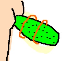 Imaami imemässä itteensä ihanasti vegee.png