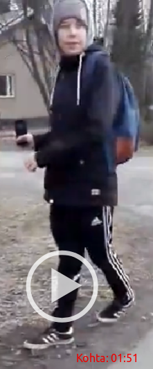 Yksi raukoista.png