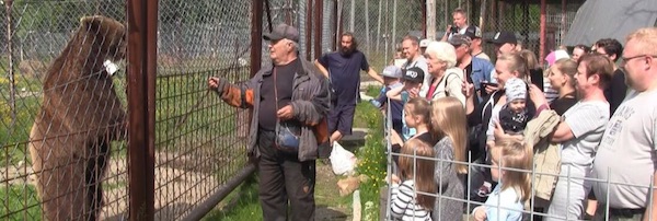 Karhu_tappaa_talossa_puutarhassa.jpg