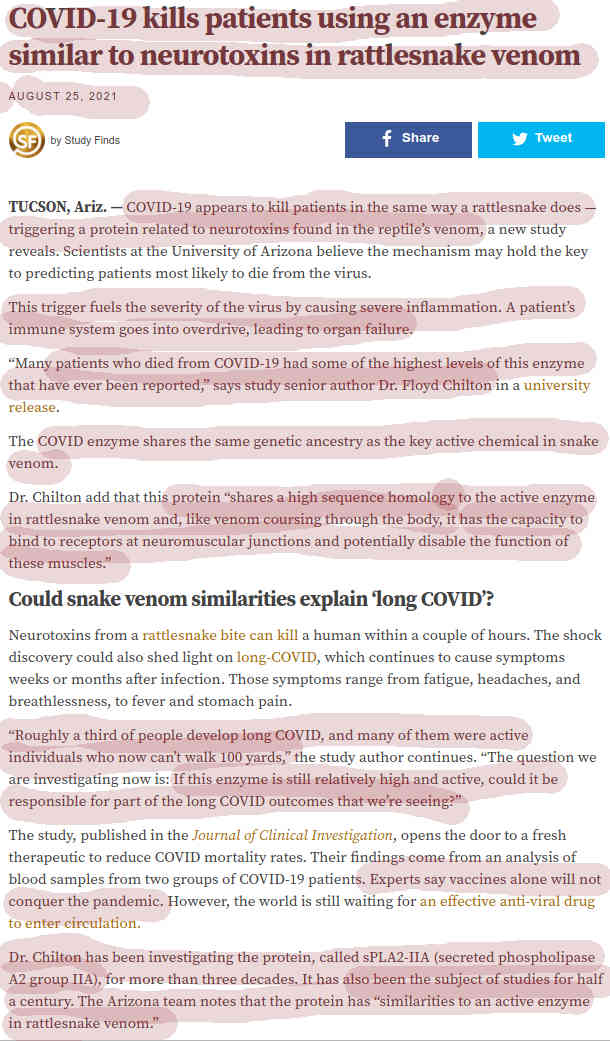 COVID-19 tappaa potilaita samankantaisella entsyymillä kuin kalkkarokäärmeen myrkyn herkomyrkyt ovat.jpg