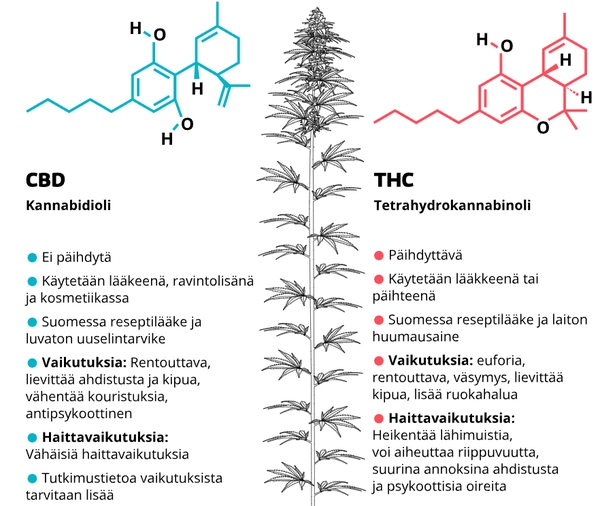 CBD vs, THC.jpg