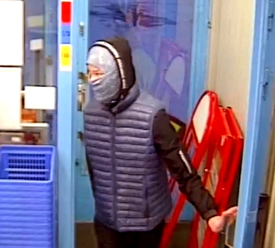 Toinen ryöstäjä.jpg