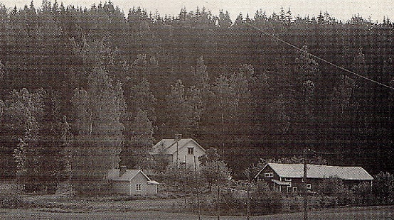 Briskin kotitila on syrjäisellä paikalla Alakylässä. Kuva Rikosposti 9/1993.