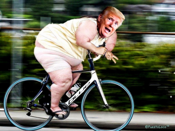 donald_polkee.jpg