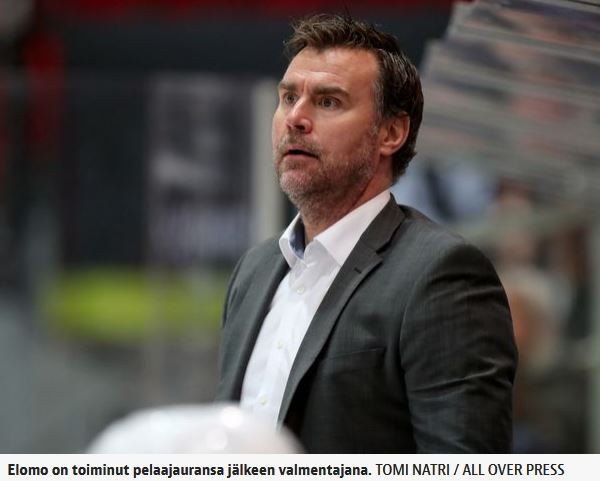 Viiltäjä Elomo.JPG
