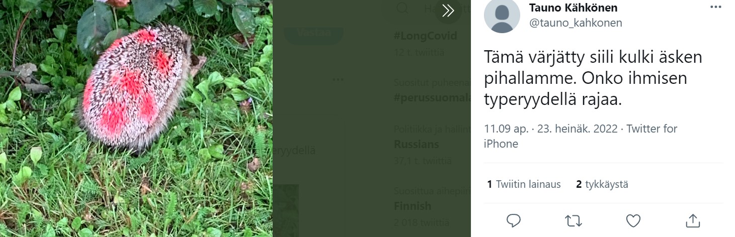 Näyttökuva 2022-07-23 132145.jpg