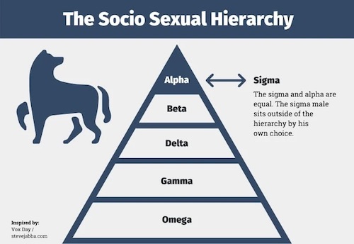 Sigma_males.jpg
