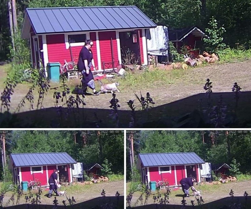Kissa kiinni.jpg