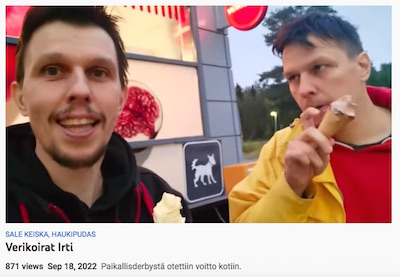VKK_aluevaaliehdokas_haukkuu_lekureita.jpg