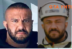bodari homo.png