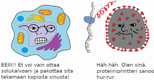Olen Pirjo Piikkiprotsku, olen nyt sina.jpeg