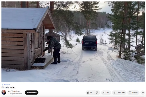 VKK_Ano_kissalle_kalat.jpg