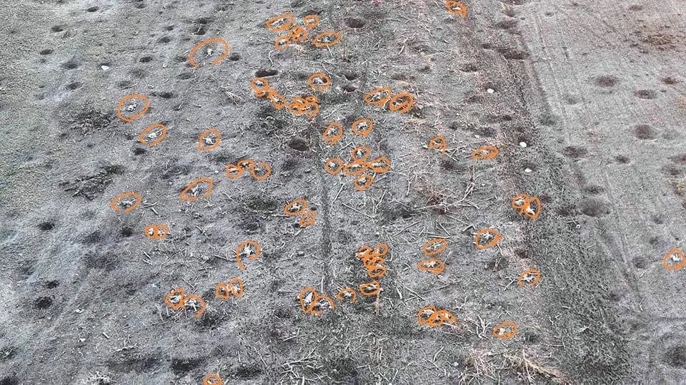 Kuolleeet wagnerin jäävät mätänemään pelloille.jpg