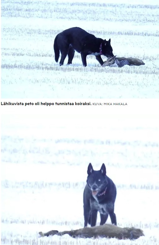 Kuva osoitteesta: https://www.satakunnankansa.fi/satakunta/art-2000009409090.html