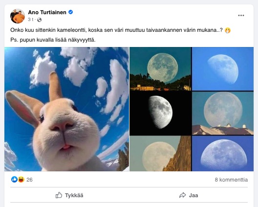 VKK_Ano_kuu_kameleontti.jpg