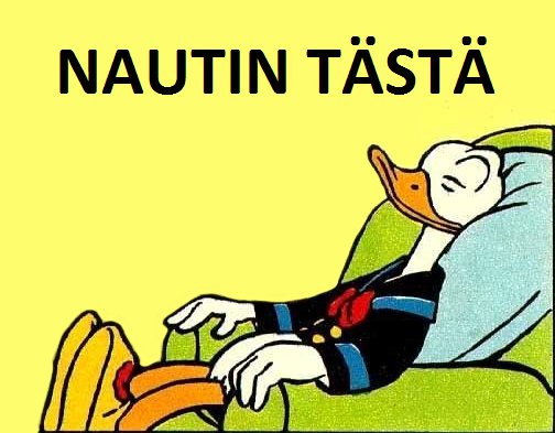 Nautin tästä.jpg