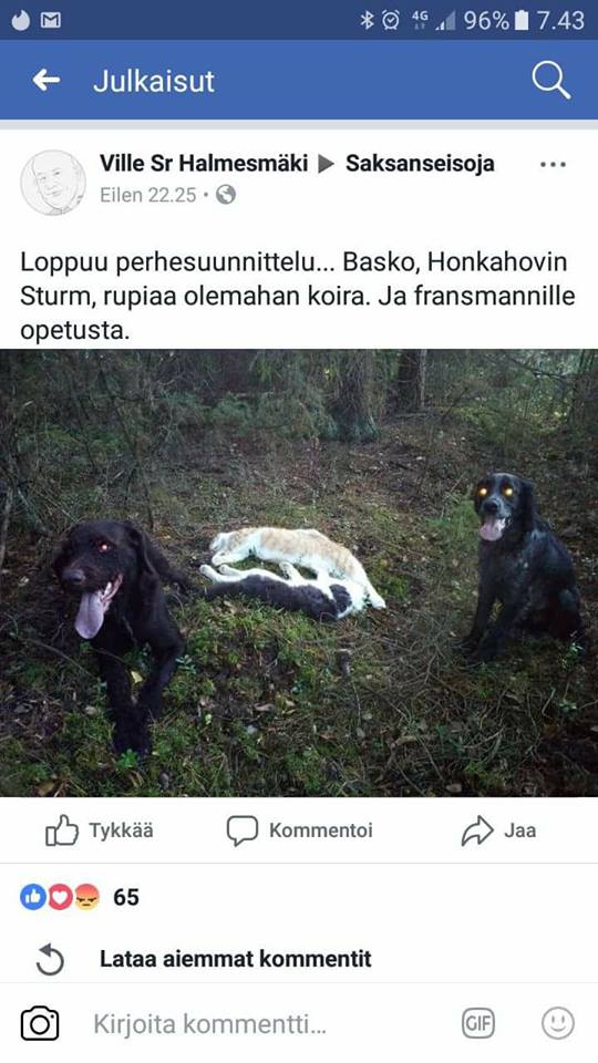 ville sr halmesmäki.jpg