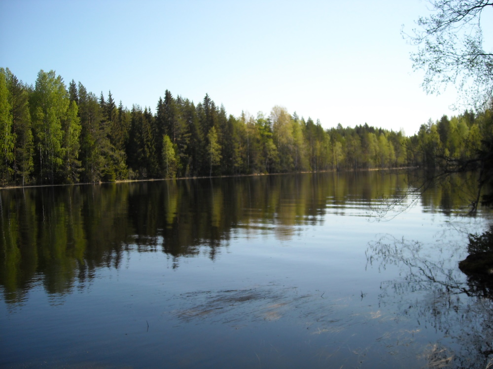 DSCN0362.jpg