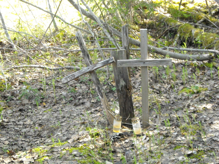 DSCN0330.jpg
