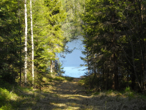 DSCN0367.jpg