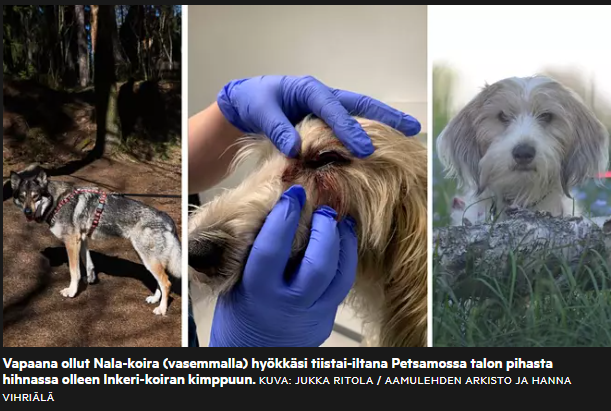 Näyttökuva 2023-05-24 161702.png