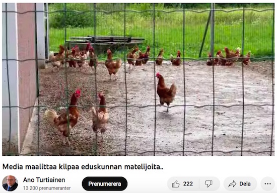 VKK_Ano_politiikan_pohtija.jpg