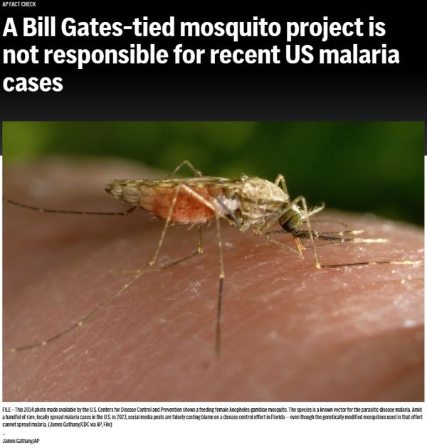 gmo pöristimet.jpg