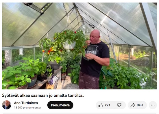 VKK_Ano_mussuttaa_kasvihuoneella.jpg