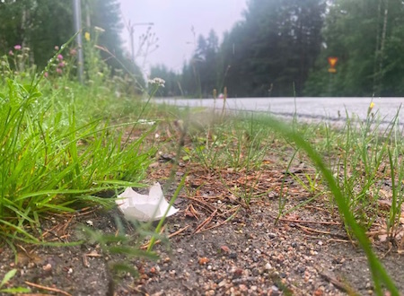 Munat_Sotkamo.jpg