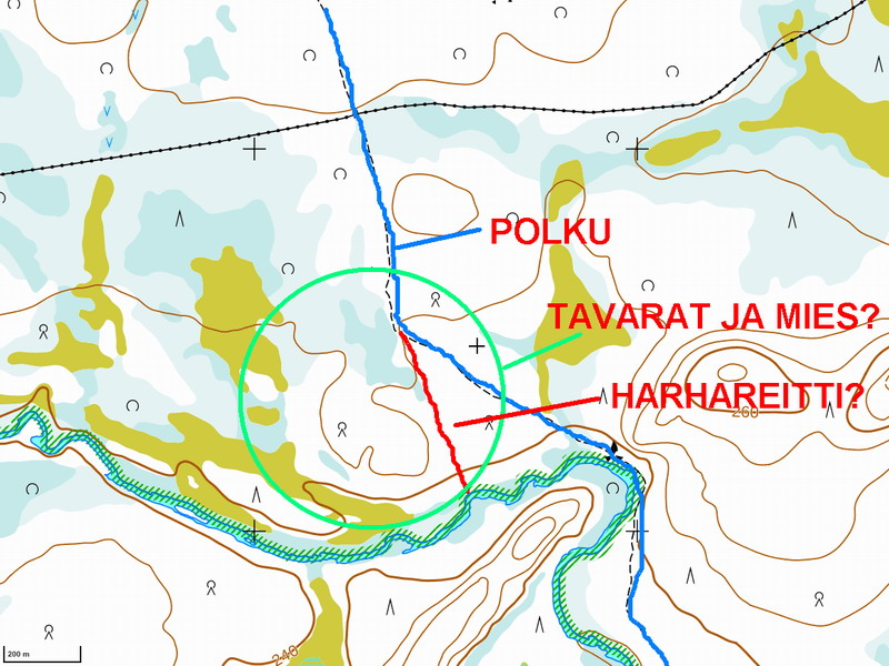 SAVUKOSKI_1.jpg
