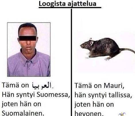 mauri.jpg