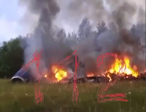 Palava hylky.png