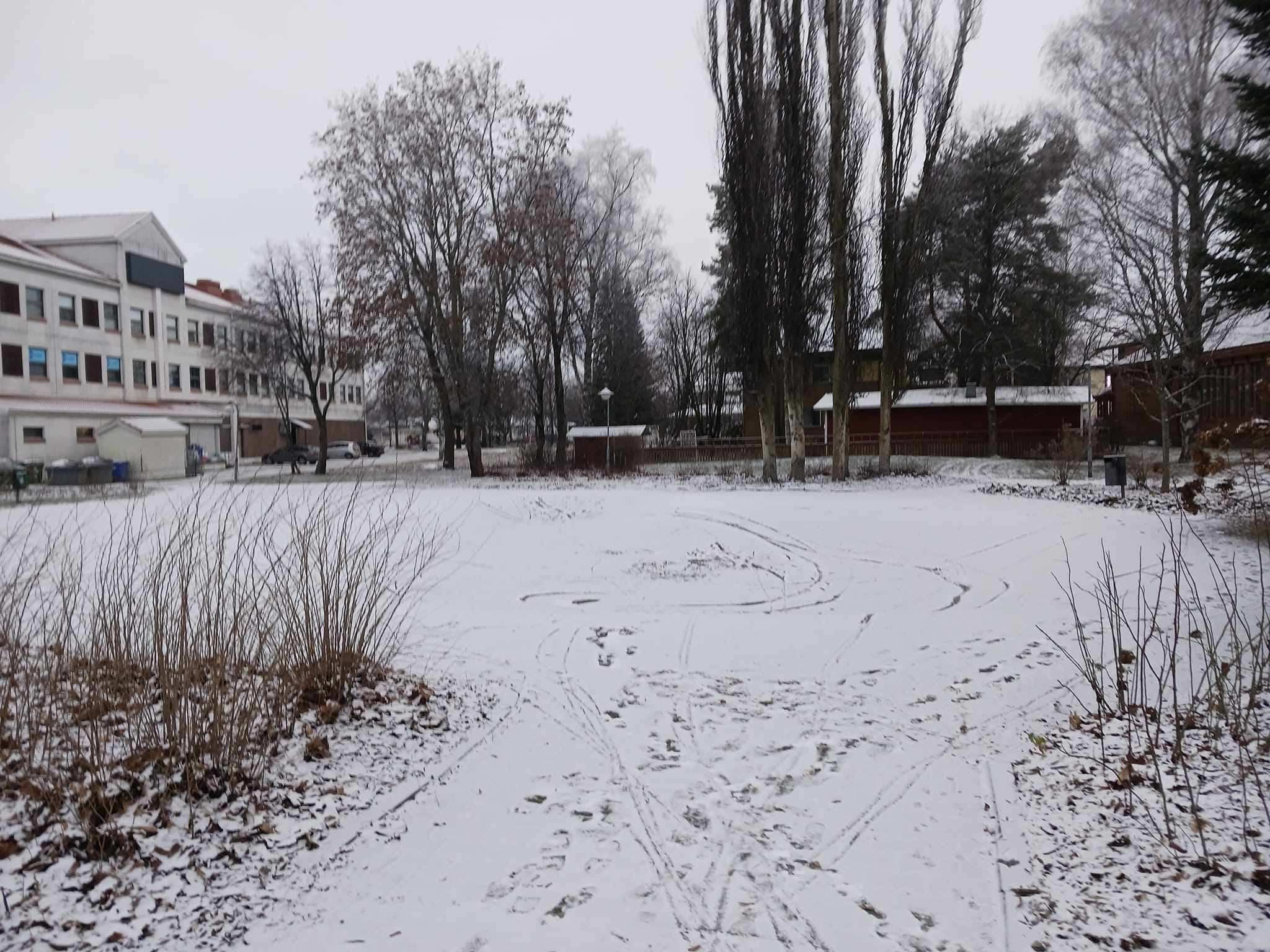 Lapua lapuahovin takapiha 3.12.2022 ekun fb318300392_3350099451983838_8797894715104111290_n.jpg