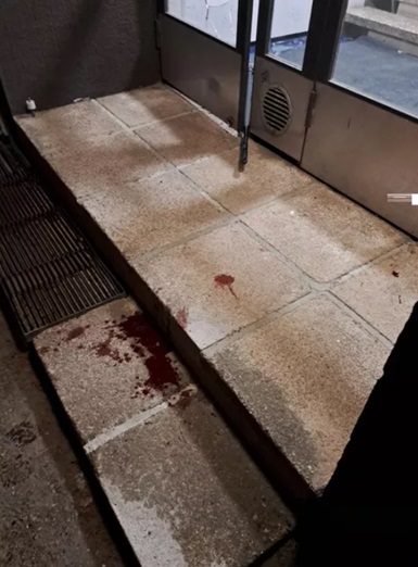 Kotka verta rapuilla.jpg