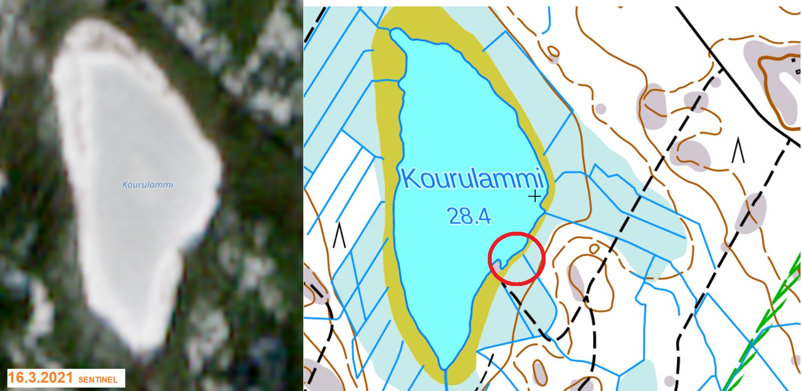 Kourulammi 16.3.2021.jpg