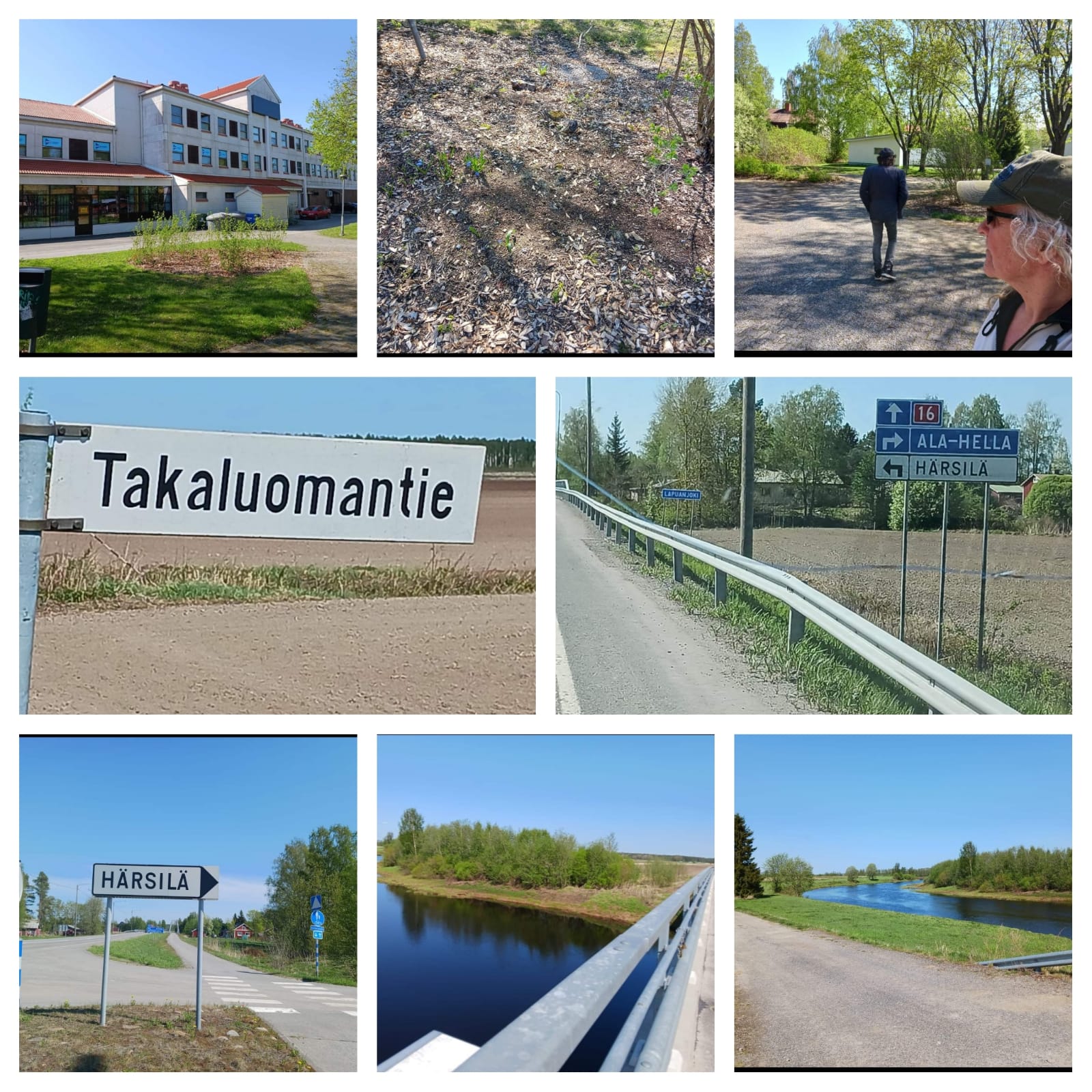 Ekun kuvat.jpg