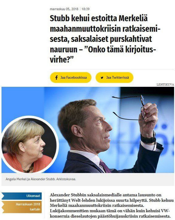 stupelo.jpeg