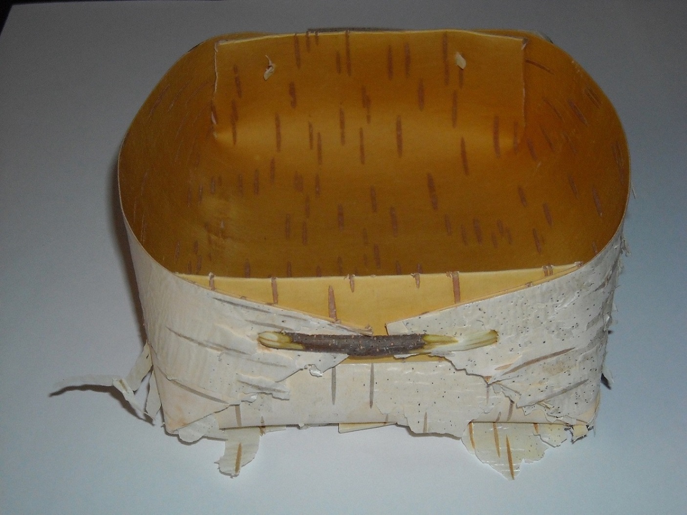 DSCN0482.JPG
