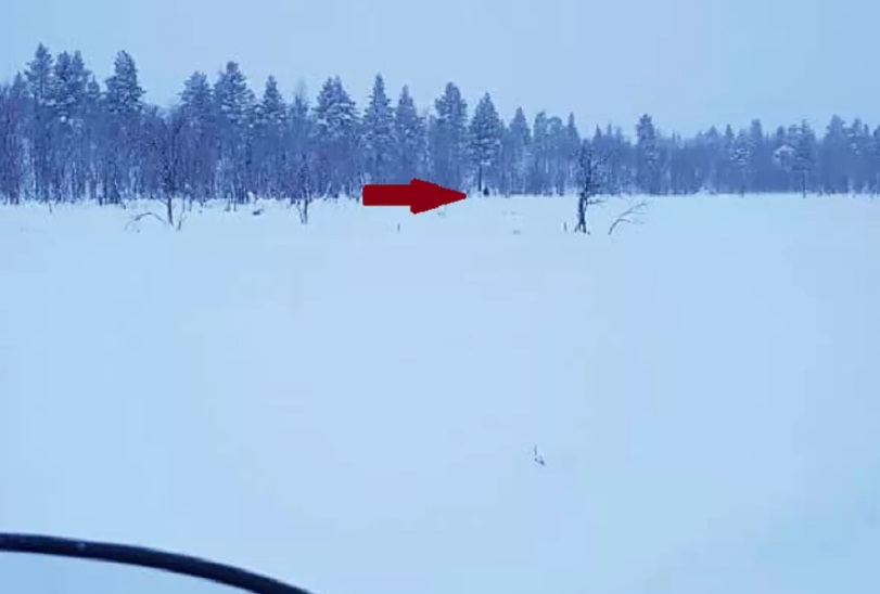 Poliisin tuore todistekuva, joka on otettu oletetulta ampumapaikalta. Iltalehden kuvaan lisäämä punainen nuoli osoittaa pilkkijää, joka erottuu tummana hahmona. LAPIN POLIISILAITOS
