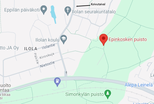 Epinkosken puisto.jpg