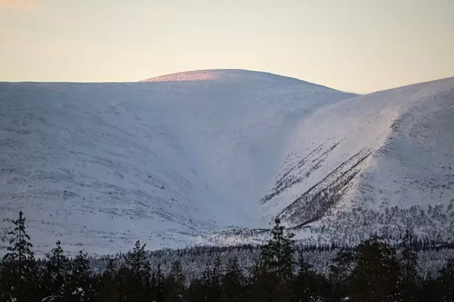 pyhakuru_2024_tammikuu.jpg
